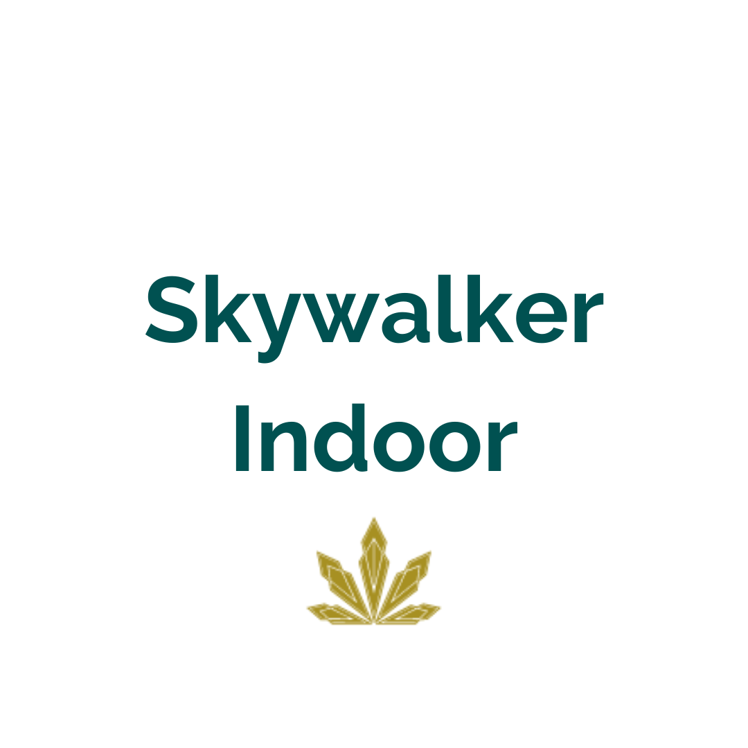 Skywalker Indoor